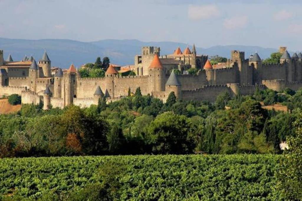 Diamond - Gite Dans Vieux Prieure Pres De Carcassonne Sainte-Eulalie  Exterior photo